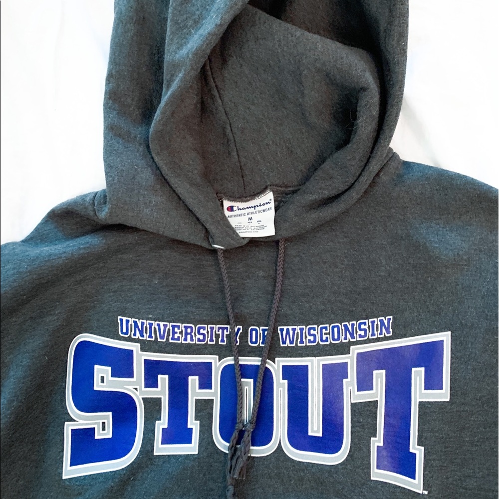 Uw-Stout Hoodie 💙